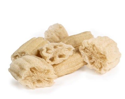 Éponge en luffa biologique | 100% Naturel